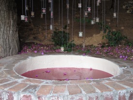 Alyssa Crane installation. Water, Bougambillia flower natural pigment.